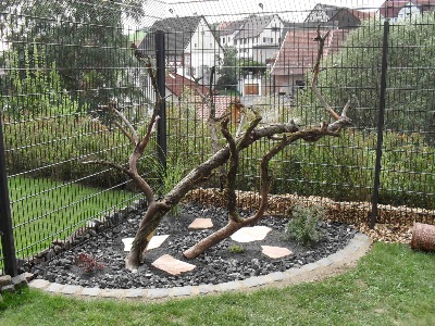 Wir haben den Aussenbereich im August 2010 neu gestaltetn und mit einem