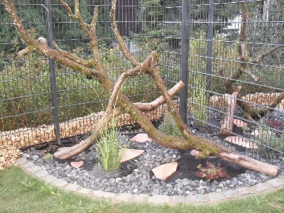 Wir haben den Aussenbereich im August 2010 neu gestaltetn und mit einem